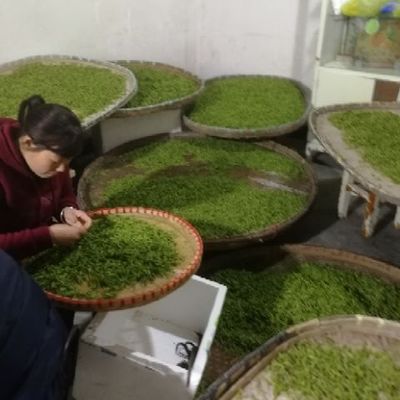 龍井茶 源自杭州富陽的初級農(nóng)產(chǎn)品