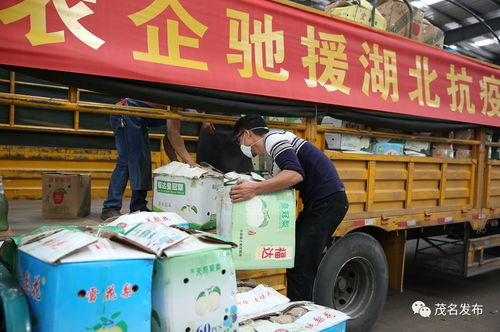 一方有難八方支援 我市農(nóng)企捐贈57噸農(nóng)產(chǎn)品馳援湖北荊州