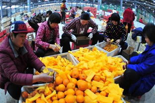 做農業電商，需不需要辦理食品經營許可證？怎么辦？一文看懂！